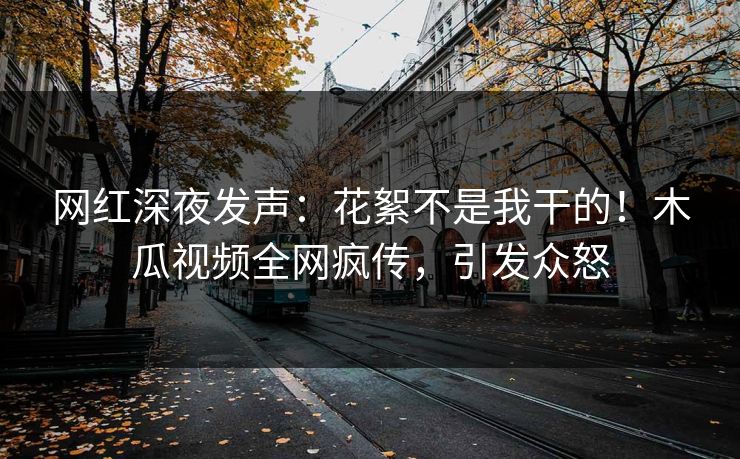 网红深夜发声：花絮不是我干的！木瓜视频全网疯传，引发众怒