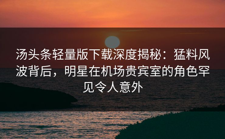 汤头条轻量版下载深度揭秘：猛料风波背后，明星在机场贵宾室的角色罕见令人意外